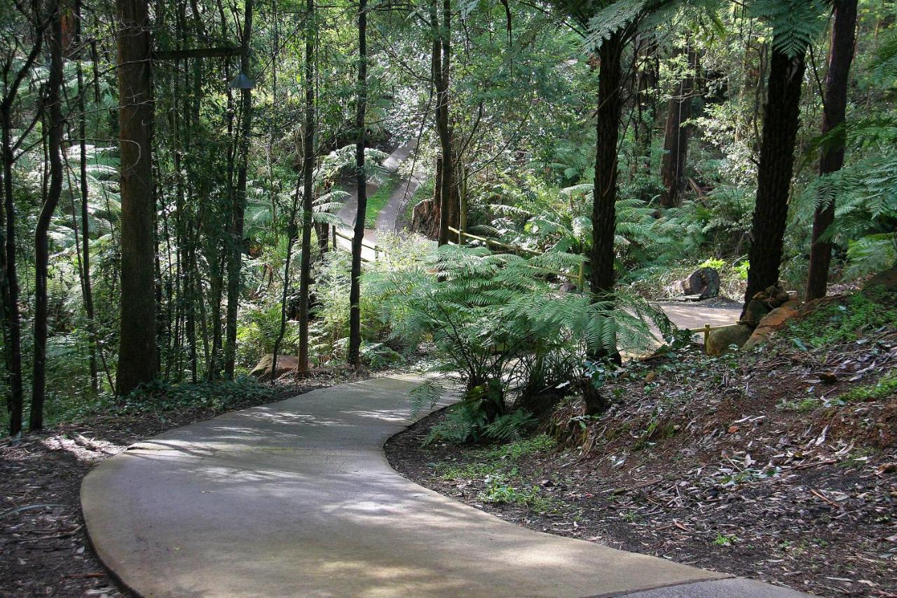 The Fernglen Forest Retreat Mount Dandenong Exterior photo