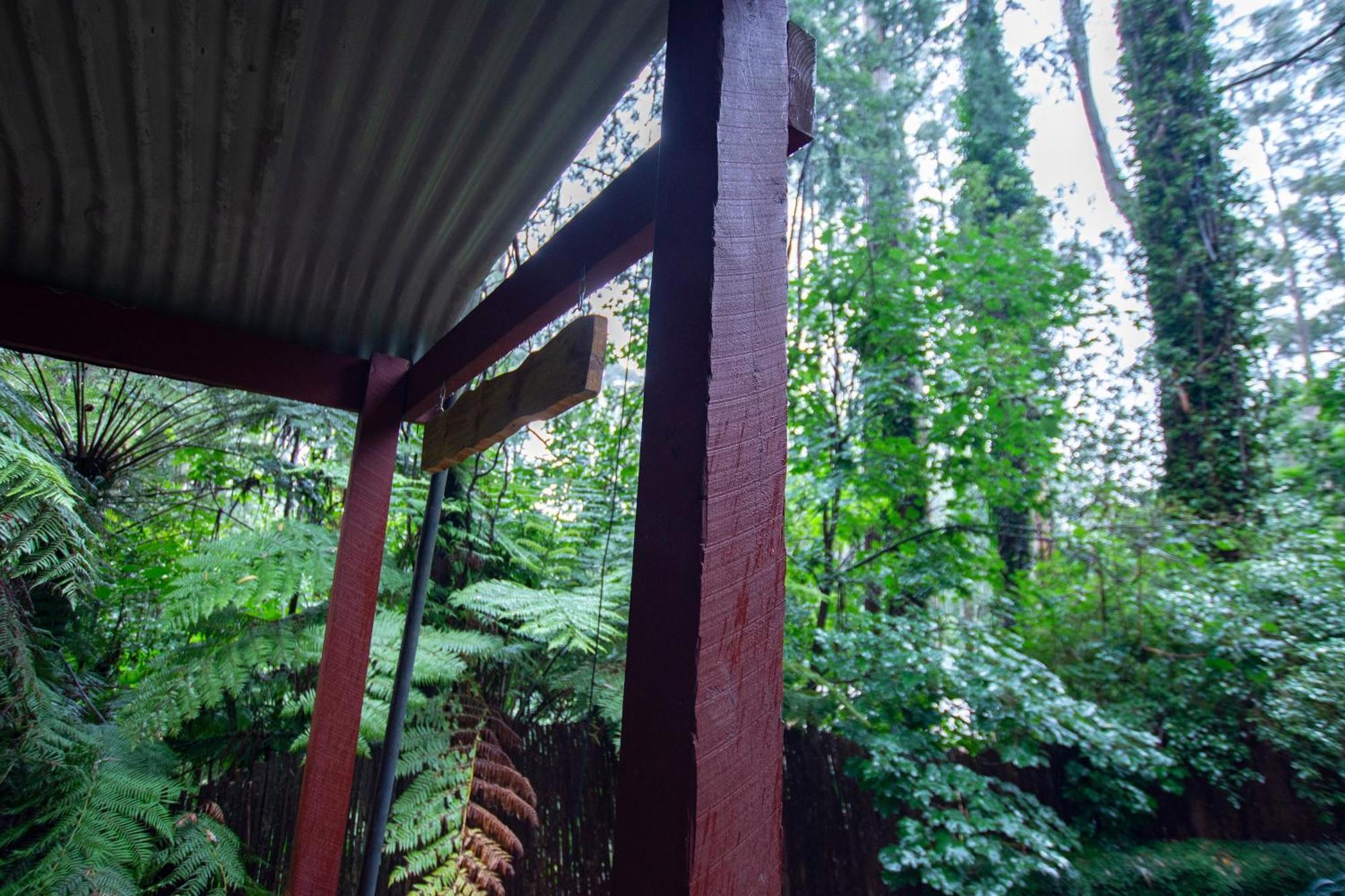 The Fernglen Forest Retreat Mount Dandenong Exterior photo