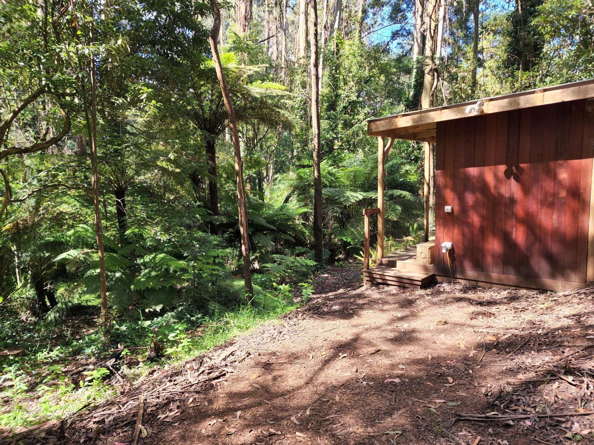 The Fernglen Forest Retreat Mount Dandenong Exterior photo