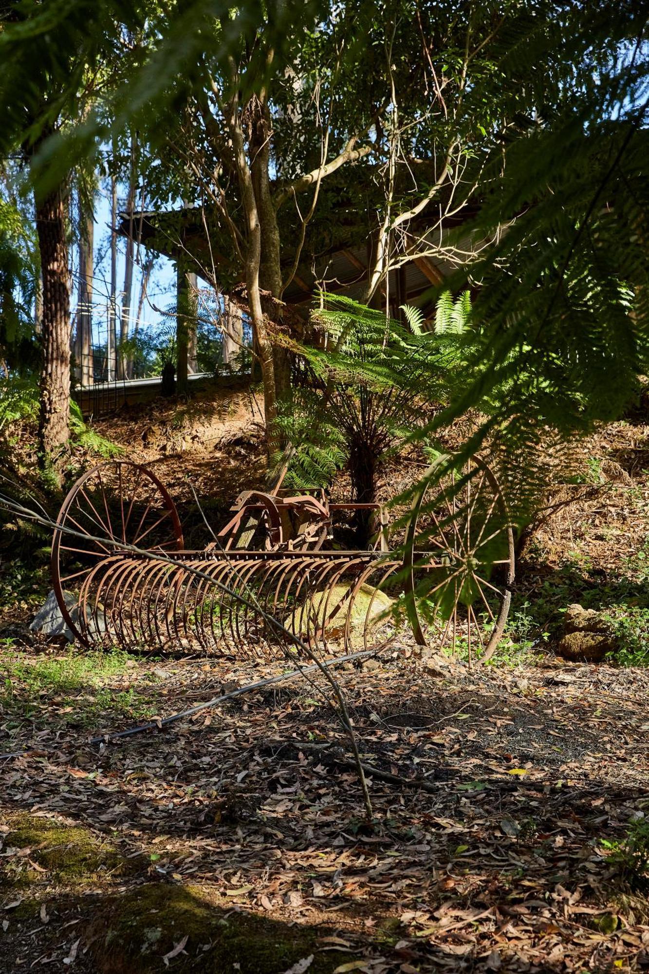 The Fernglen Forest Retreat Mount Dandenong Exterior photo