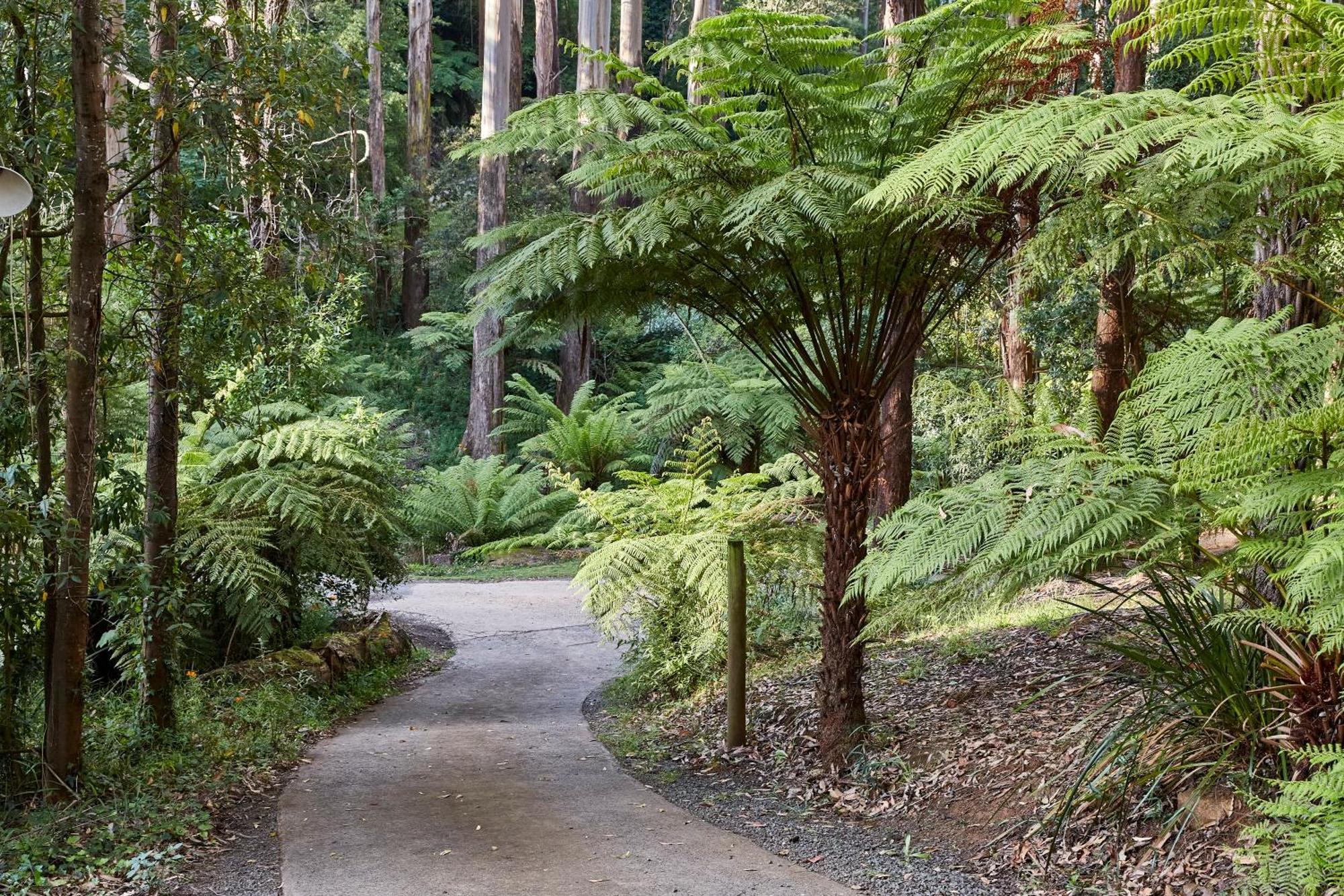 The Fernglen Forest Retreat Mount Dandenong Exterior photo