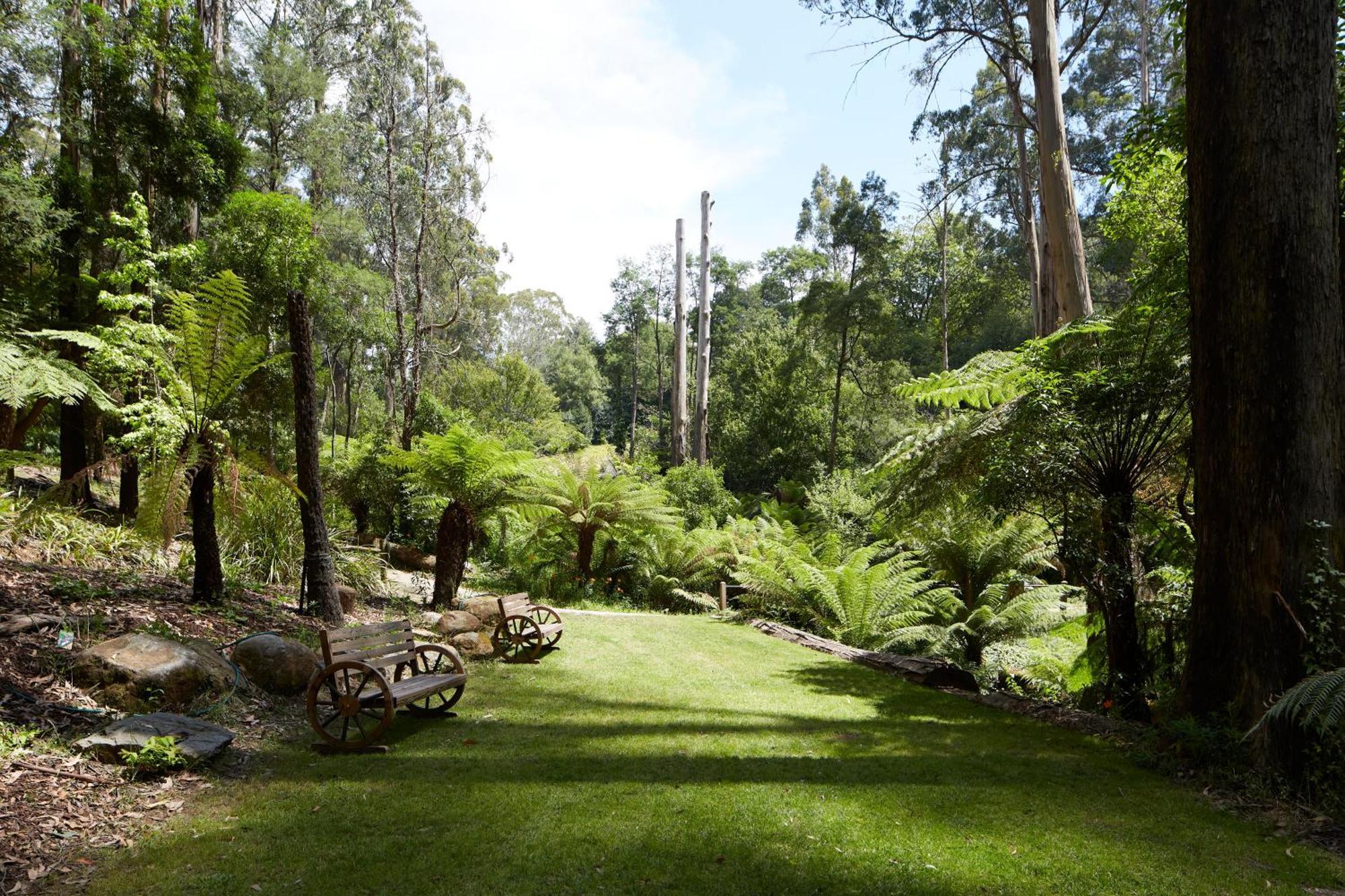 The Fernglen Forest Retreat Mount Dandenong Exterior photo