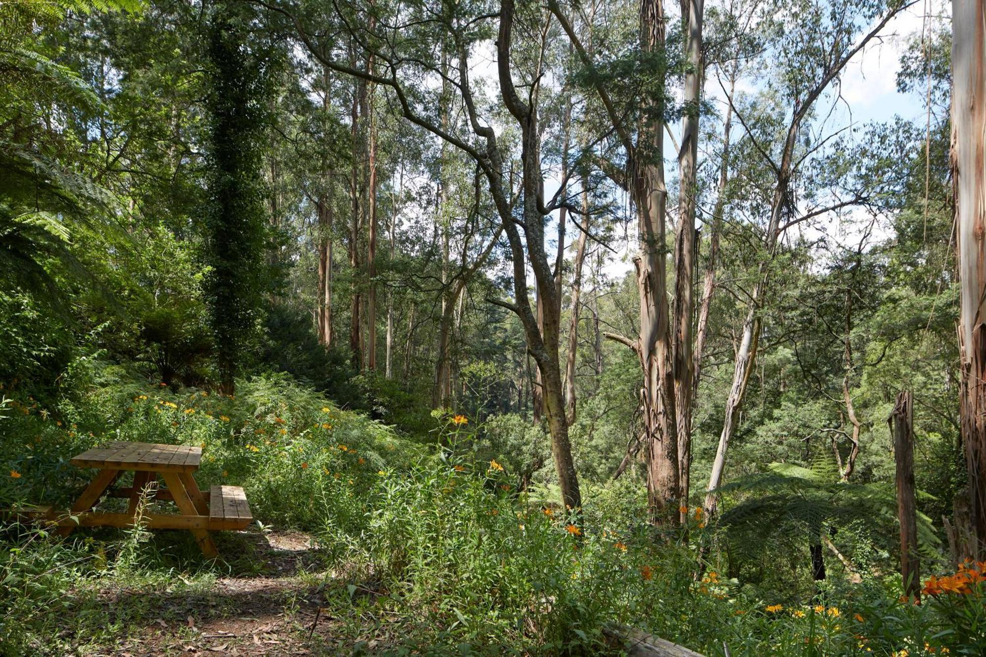 The Fernglen Forest Retreat Mount Dandenong Exterior photo