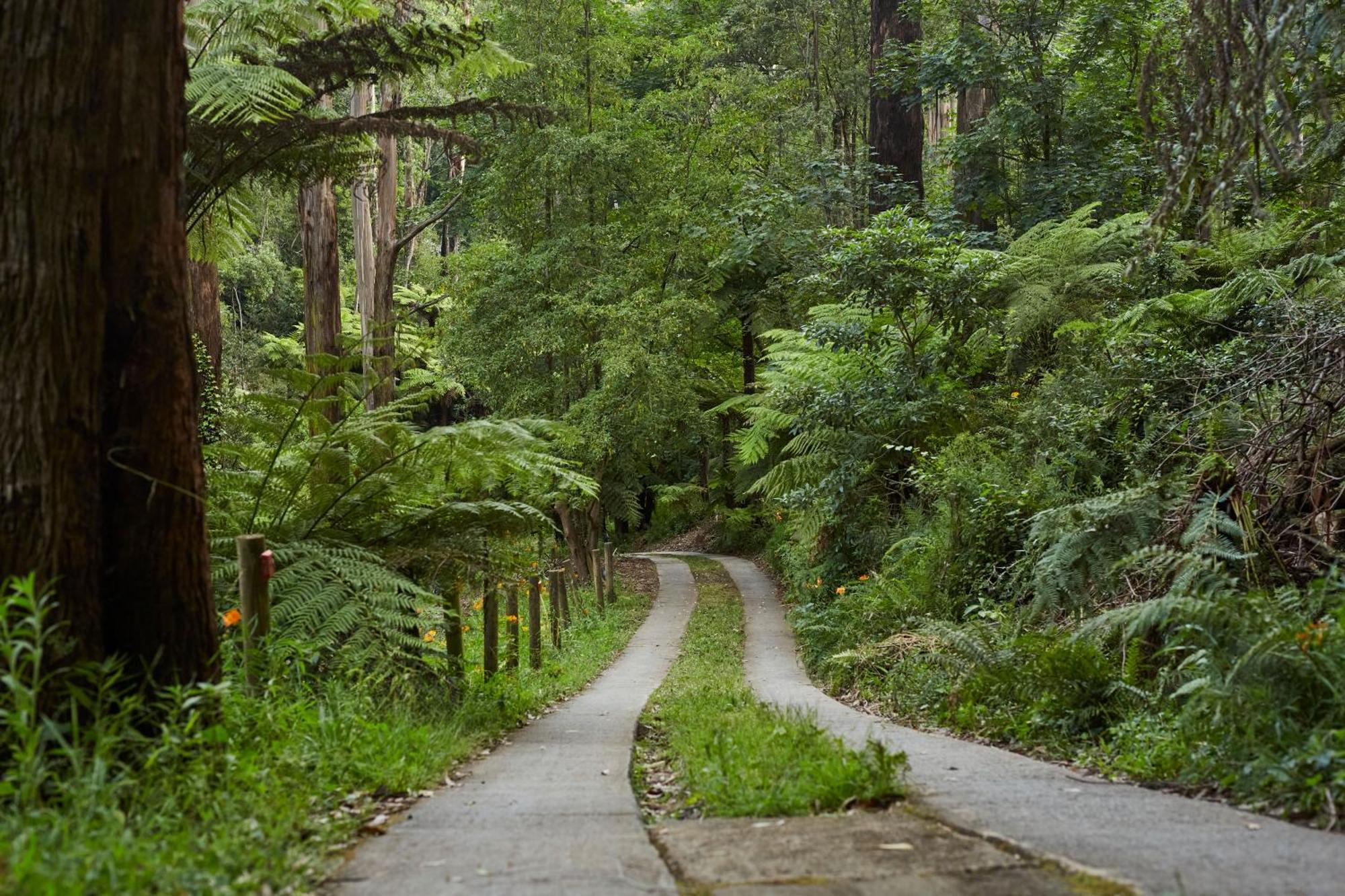 The Fernglen Forest Retreat Mount Dandenong Exterior photo