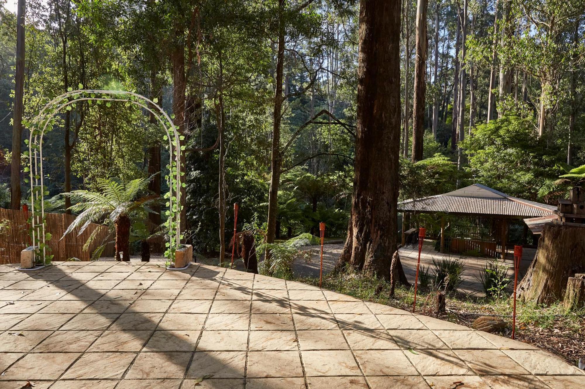 The Fernglen Forest Retreat Mount Dandenong Exterior photo