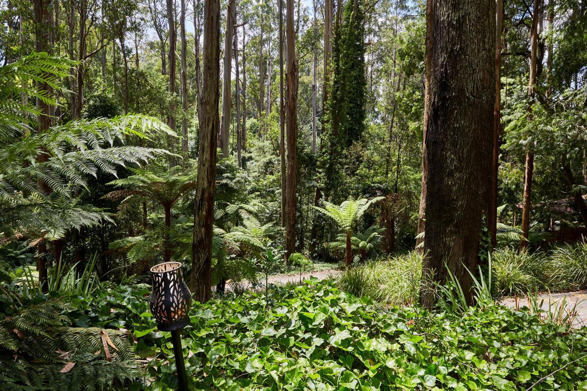 The Fernglen Forest Retreat Mount Dandenong Exterior photo