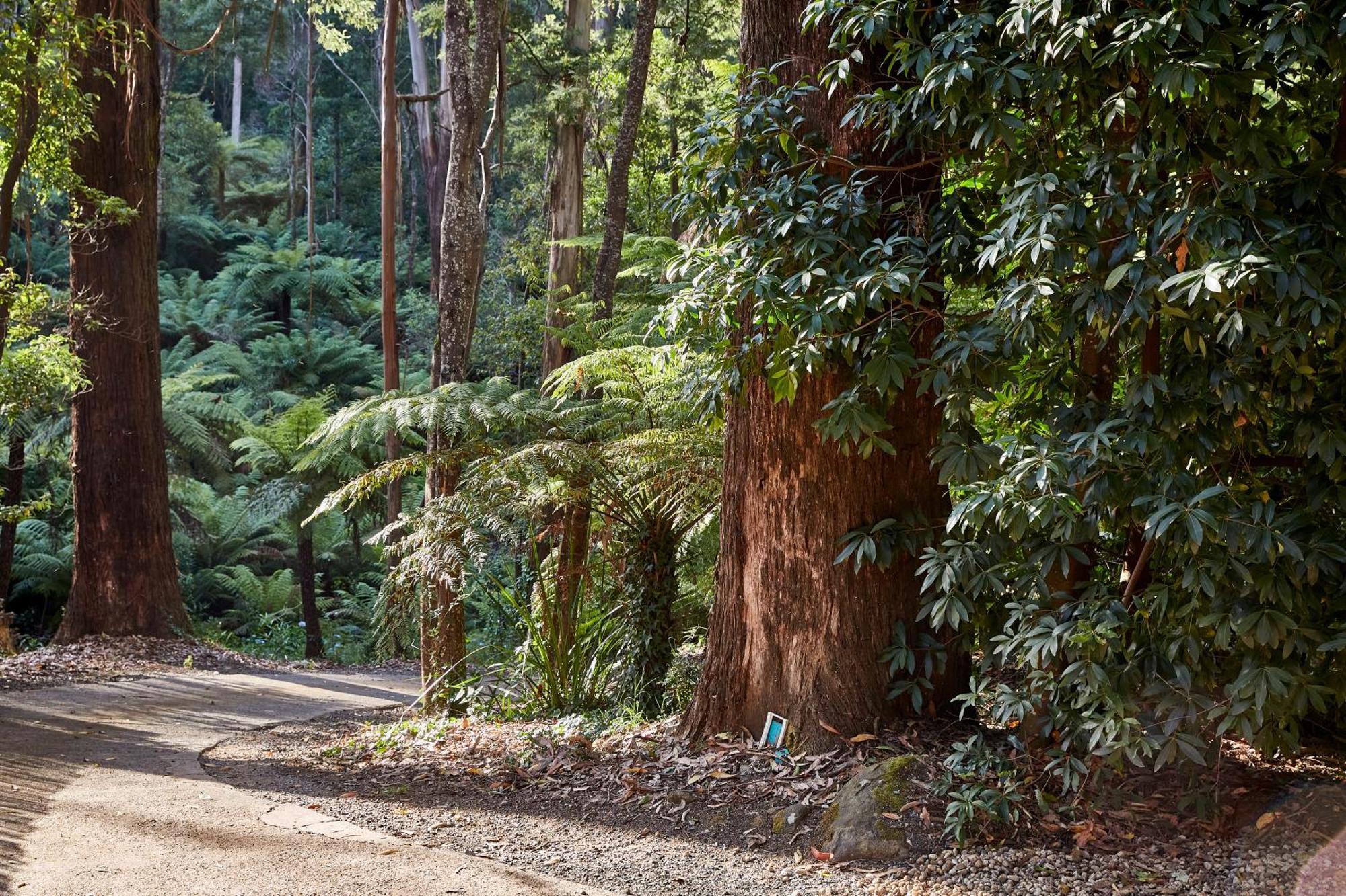 The Fernglen Forest Retreat Mount Dandenong Exterior photo